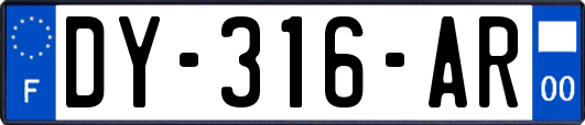 DY-316-AR