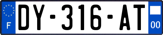 DY-316-AT