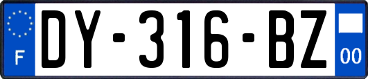 DY-316-BZ