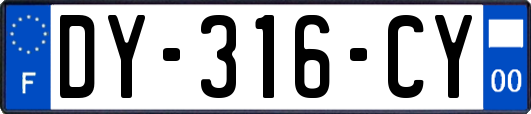 DY-316-CY