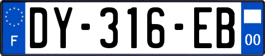DY-316-EB