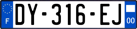 DY-316-EJ