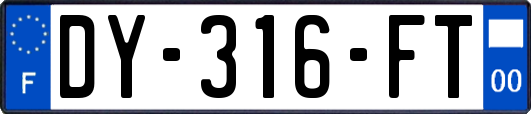 DY-316-FT