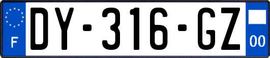 DY-316-GZ