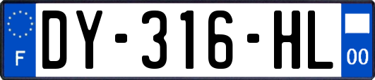 DY-316-HL