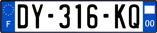 DY-316-KQ