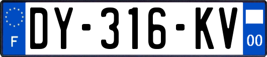 DY-316-KV