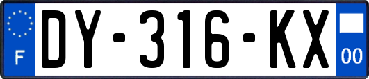 DY-316-KX