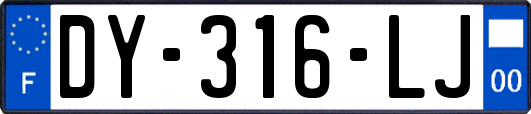 DY-316-LJ