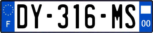 DY-316-MS