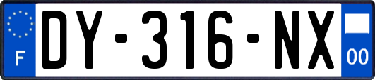 DY-316-NX