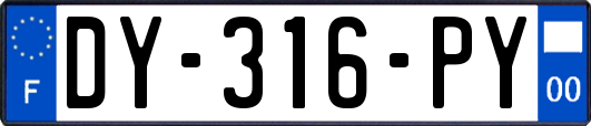 DY-316-PY