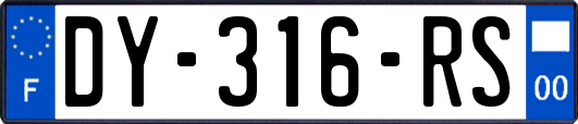 DY-316-RS