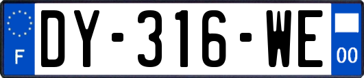 DY-316-WE