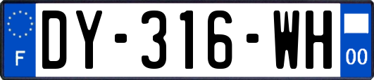 DY-316-WH