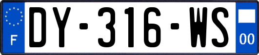 DY-316-WS