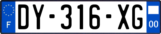 DY-316-XG