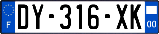 DY-316-XK