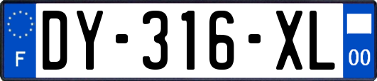 DY-316-XL