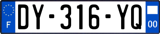 DY-316-YQ