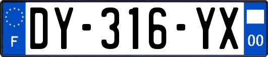 DY-316-YX