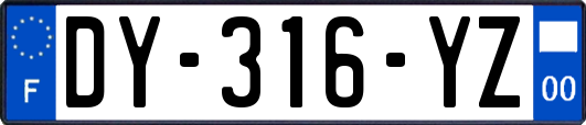 DY-316-YZ