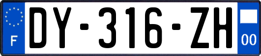 DY-316-ZH