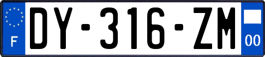 DY-316-ZM