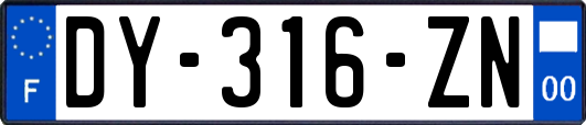 DY-316-ZN