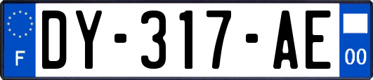 DY-317-AE