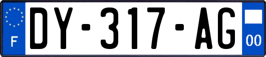 DY-317-AG
