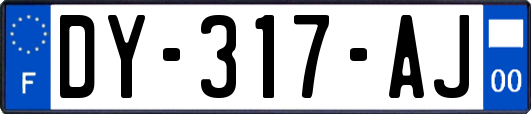 DY-317-AJ