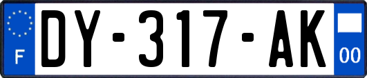 DY-317-AK