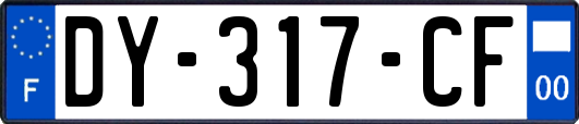 DY-317-CF