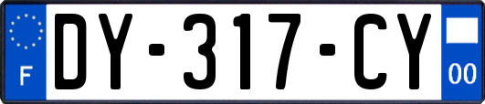DY-317-CY