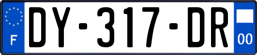 DY-317-DR