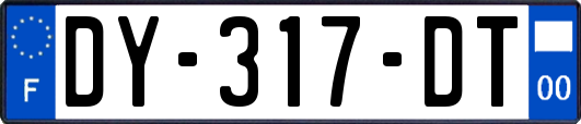 DY-317-DT