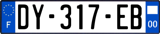 DY-317-EB