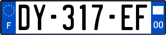 DY-317-EF