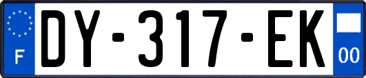 DY-317-EK