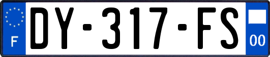 DY-317-FS
