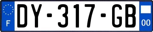 DY-317-GB