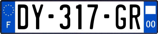 DY-317-GR