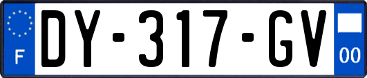 DY-317-GV