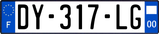 DY-317-LG
