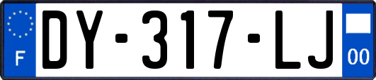 DY-317-LJ