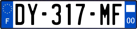 DY-317-MF