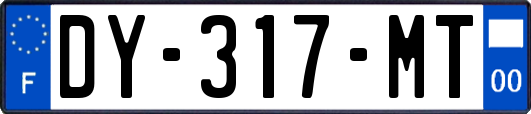 DY-317-MT