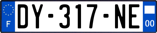 DY-317-NE