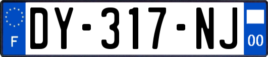 DY-317-NJ